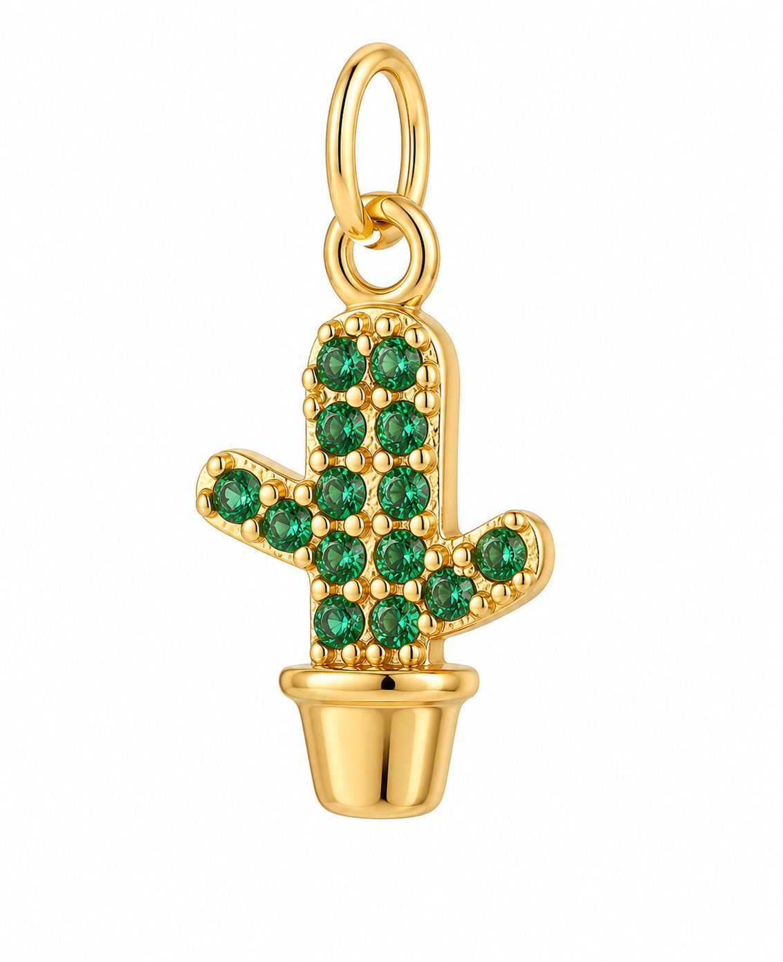 Cactus Charm